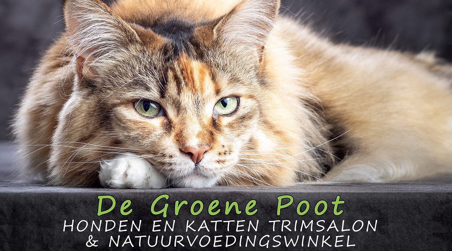 De Groene Poot